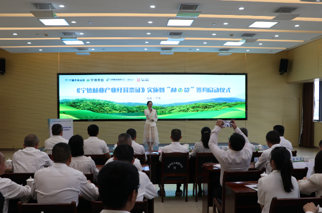 寧德推出“林e貸”助推林業(yè)產(chǎn)業(yè)高質量發(fā)展