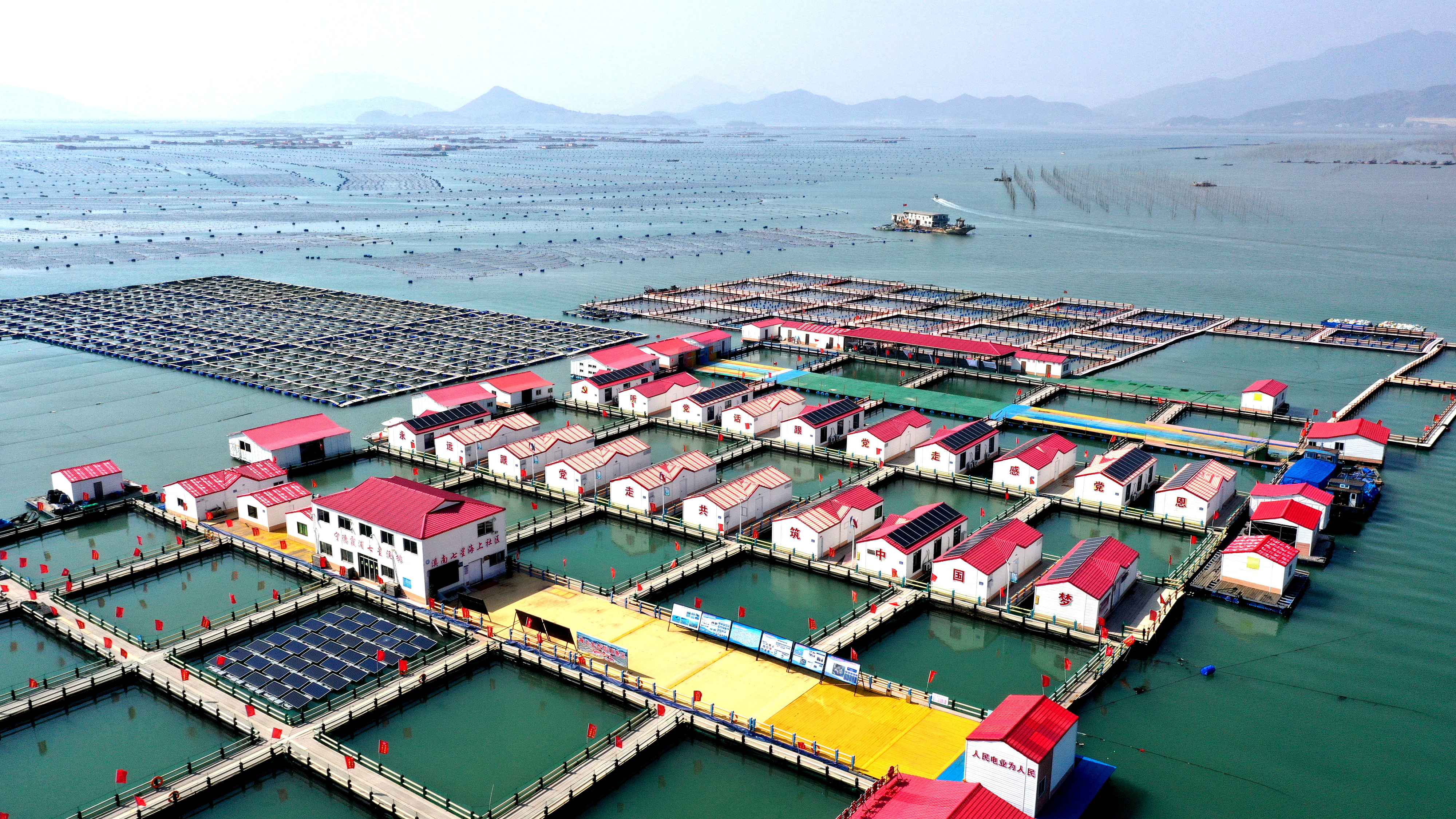 2024年3月20日，福建省寧德市，霞浦縣溪南鎮(zhèn)七星村漁排養(yǎng)殖示范區(qū)，漁民駕駛養(yǎng)殖船進行海參養(yǎng)殖作業(yè)。