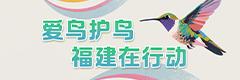 愛(ài)鳥(niǎo)護(hù)鳥(niǎo)福建在行動(dòng)