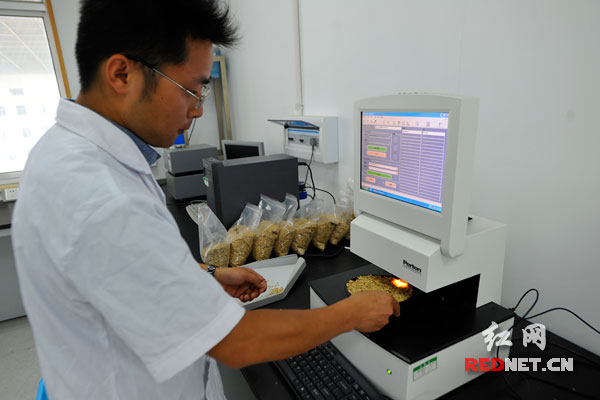 一分鐘檢定稻谷的重要指標(biāo)，湖南省糧油產(chǎn)品質(zhì)量監(jiān)測中心將投入國內(nèi)最先進(jìn)的設(shè)備為夏糧收購服務(wù)。