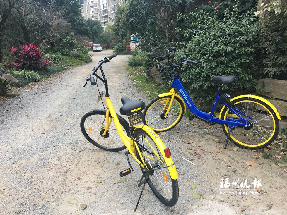 共享單車(chē):隨停隨放≠亂停亂放