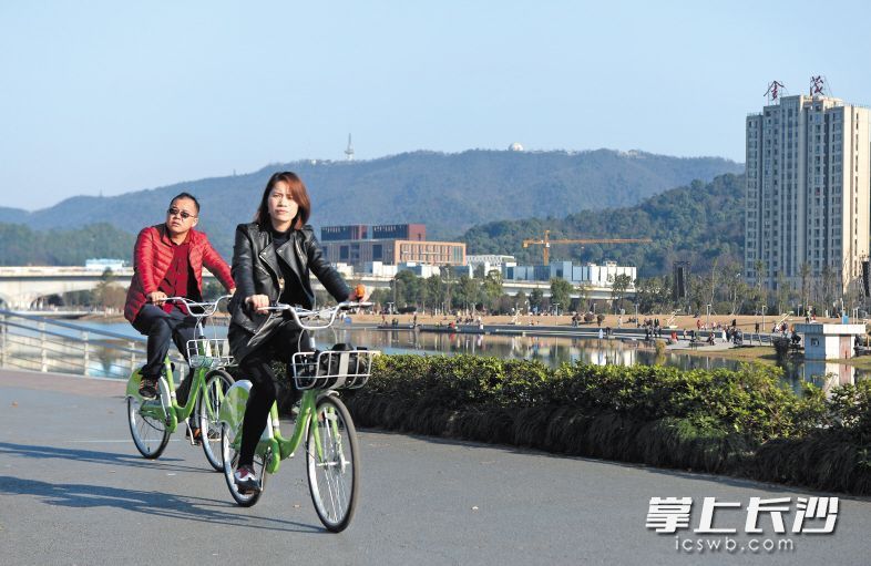 梅溪湖畔，市民們騎著共享單車賞景。長沙晚報(bào)記者 鄒麟 攝