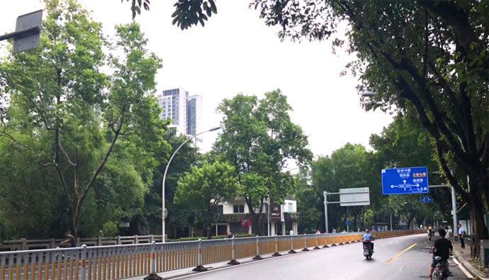 臺風“瑪莉亞”過境后　福州街頭恢復(fù)整潔