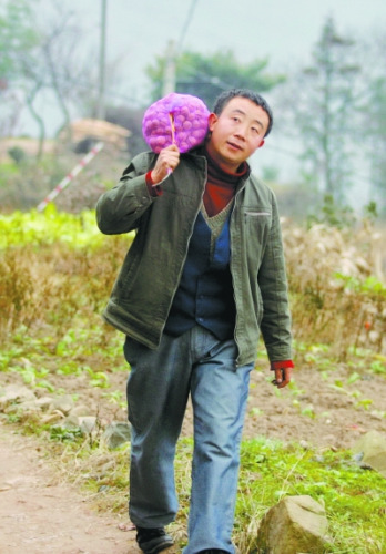 張義波行走在家鄉(xiāng)熟悉的田埂上。 