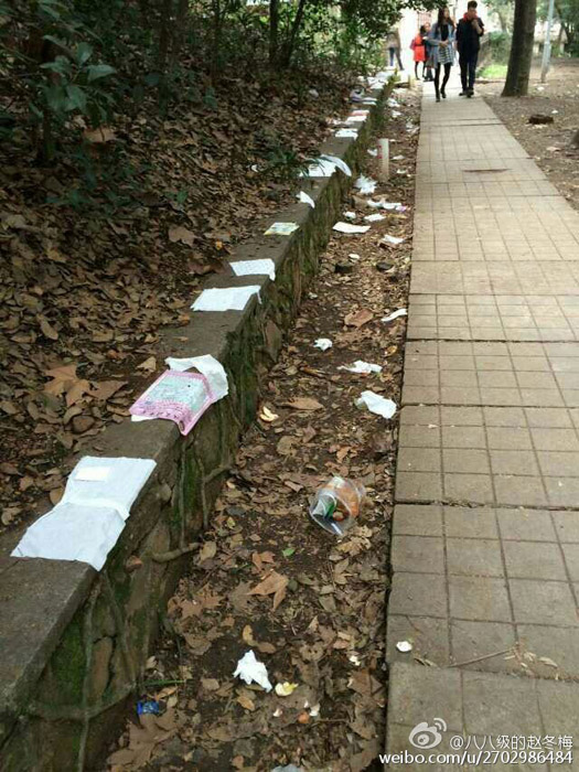 造花雨、扔垃圾 賞櫻游客的不文明行為