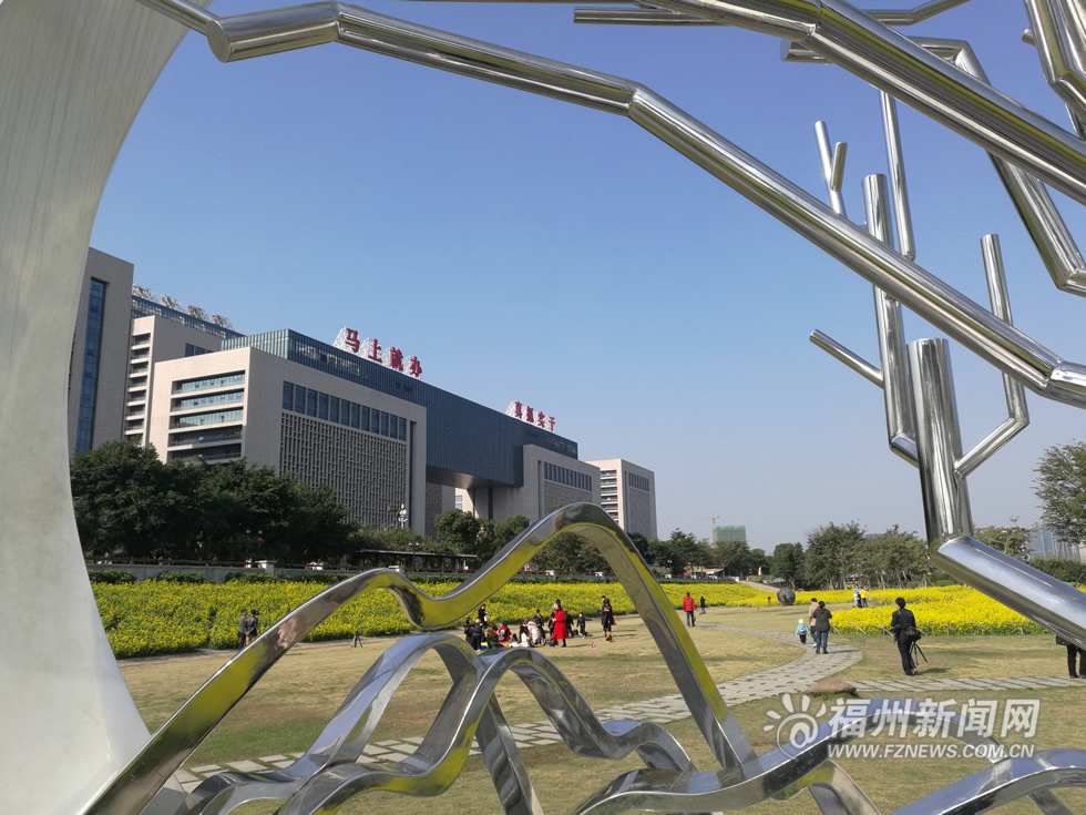 “福州藍(lán)”下，福州公園成金色花海