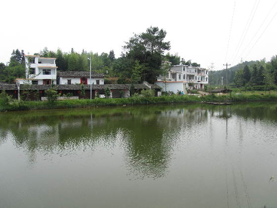 南坑村村容整潔，環(huán)境優(yōu)美。